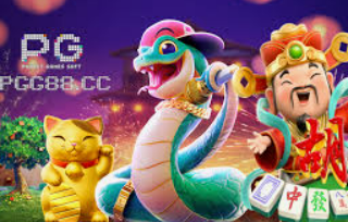 Bwin体育2024最新版